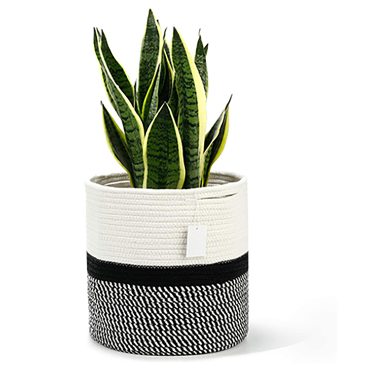 Cotton Rope Planter Basket