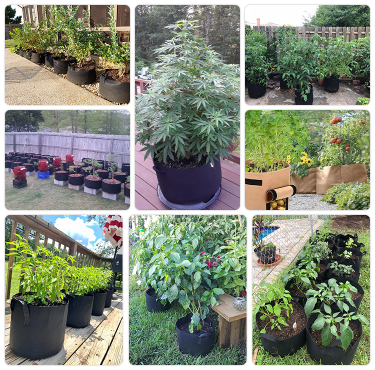 Premium Garden Growing Bag