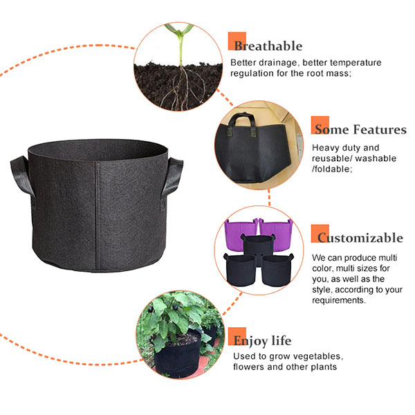 Grow Bag