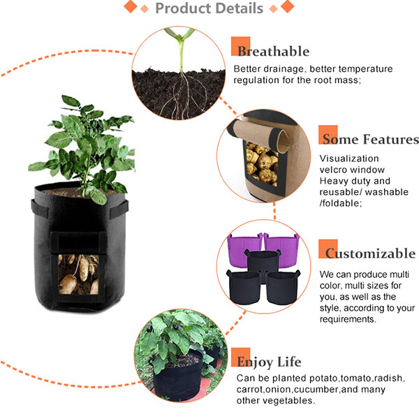 Grow Bag